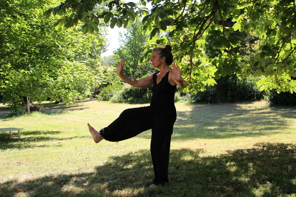 Quels sont les meilleurs mouvements de tai chi pour améliorer l'équilibre des femmes âgées?